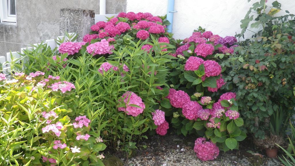 Bed and Breakfast La Musardise Guérande Exterior foto