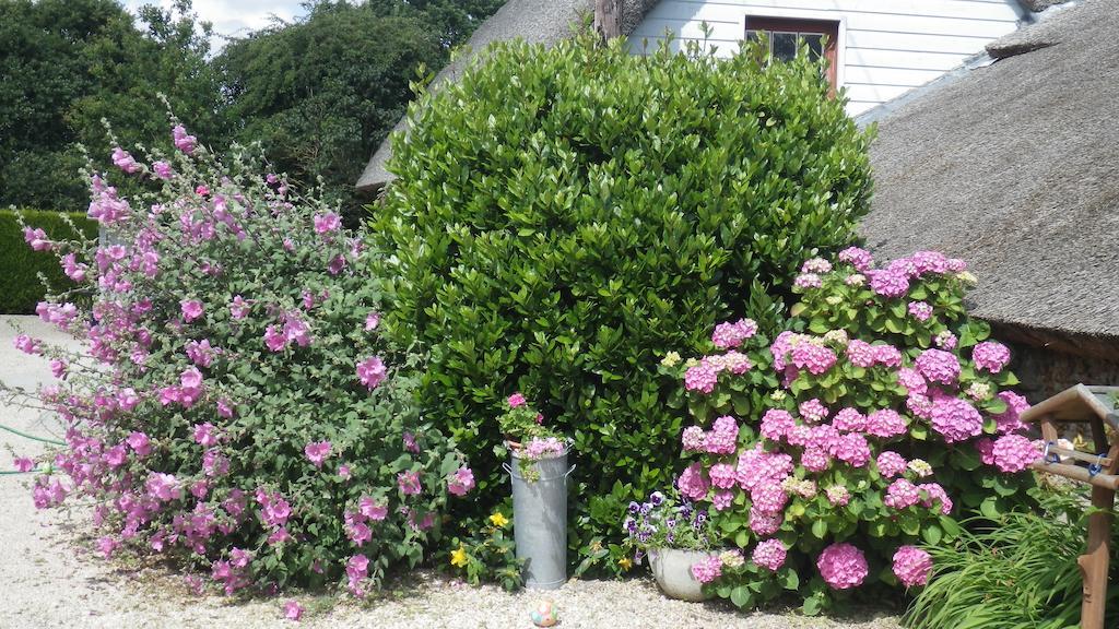 Bed and Breakfast La Musardise Guérande Exterior foto